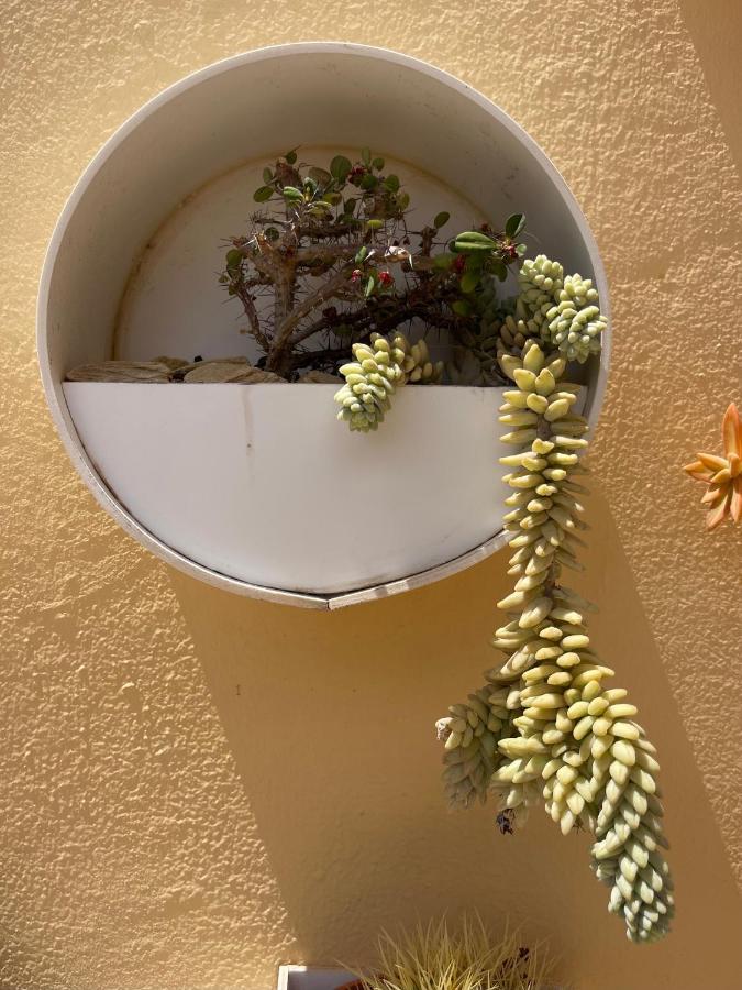 Eco House Golfinhos Apartman Corralejo Kültér fotó